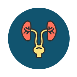 Urology & Dialysis Medical Products